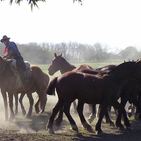 Estancia Don Silvano ξενώνας Diego Gaynor Εξωτερικό φωτογραφία
