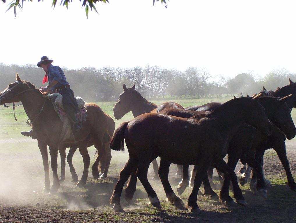 Estancia Don Silvano ξενώνας Diego Gaynor Εξωτερικό φωτογραφία