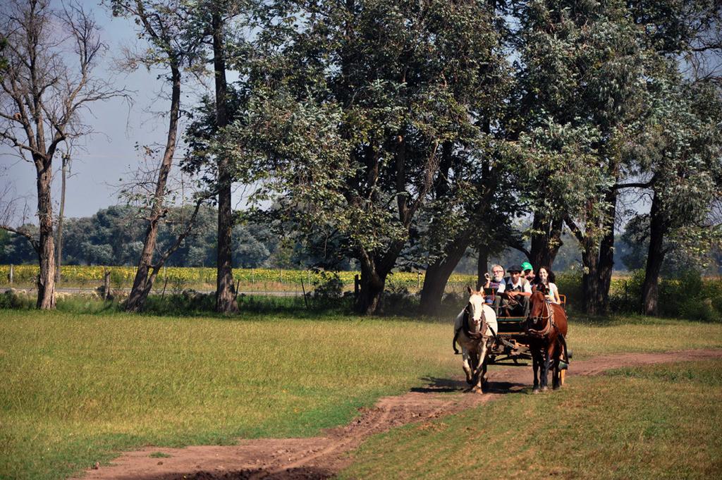 Estancia Don Silvano ξενώνας Diego Gaynor Εξωτερικό φωτογραφία
